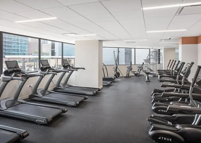 Appartement Streeterville 1br W Gym Pool Nr Navy Pier Chi-411